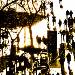 Silhouette Story #15