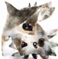 Catmare #4/12 - Spines