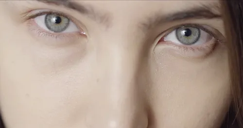 Item #114091279957330982022734478648167430968491445987545800607311341324817701797889 Media