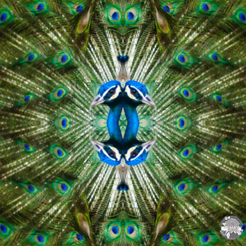 Item #91347118439362741551389333671966665312290753561976967806094161304255847202817 Media