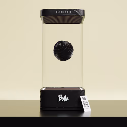 Item #24439210320433582626122075029624338729610914236259444209735413963510935191553 Media