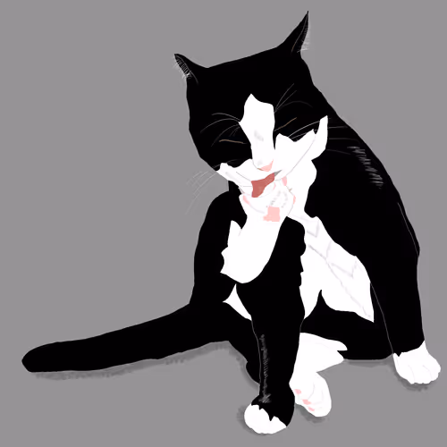 Item #104561290184458227069111393088658904779979346146682542828265975234800191012865 Media