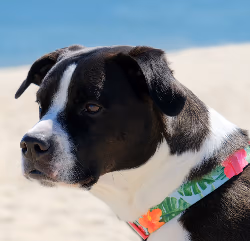 Item #60286361363657250857601775030637471218171117852543341295073303967871520473089 Media