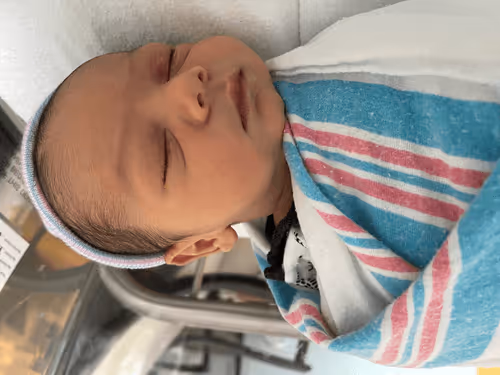 uwecerron Collection