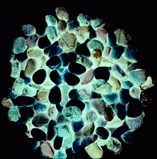 Item #82409959312774079703656942413098690737416735983217004780830441657998457700353 Media