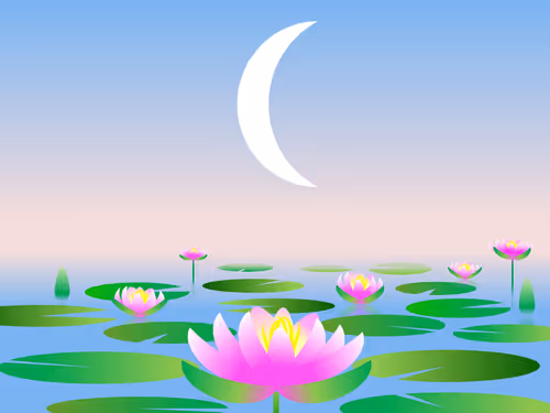 Item #41072103524722802342439355924477002330538405535784749576256202715169539751937 Media