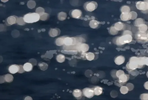 10845674652707368164450786966795360730818878874001412920290867879221705834497