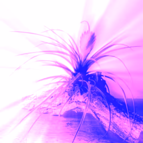 Item #8607677958191038044004830040679912821884152676576415147527513011271646576641 Media