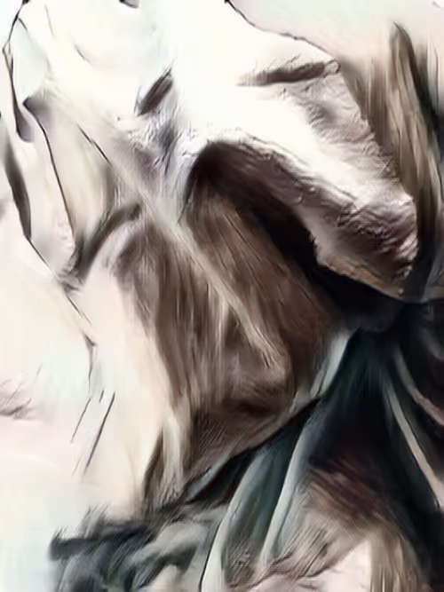 Item #13022119106637872780639257412886020365194917216961513586810508296212090716161 Media