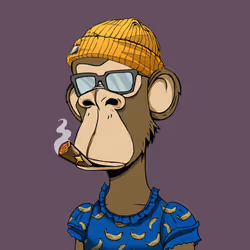 16566600121269417912170177103509838201258617517728004158130448630353980555265