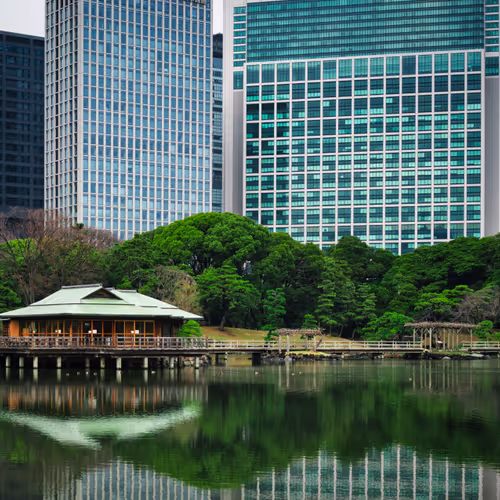 Tokyo Impressions