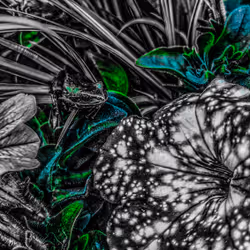 20976301758881134831989222665278936219784108903075361536191037516145206755329