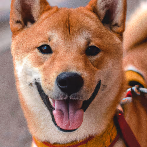 Item #34470142884482375674331152583341387110725961593908059002011227522460129689601 Media