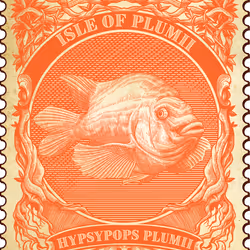 77066565523953883044635257593168345925180923812569263754514071186983345979393