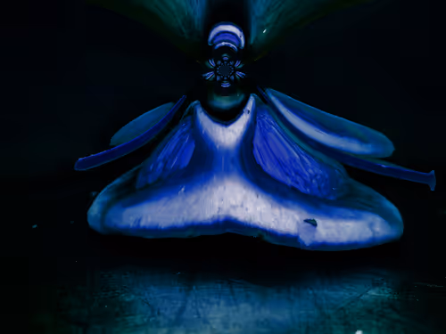 Item #67457553150443021914092587022250176347061355639032054621716075946472514781185 Media