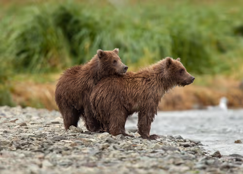 Item #19207338348144225692080396183640865546201068415206893468727031826676606566401 Media