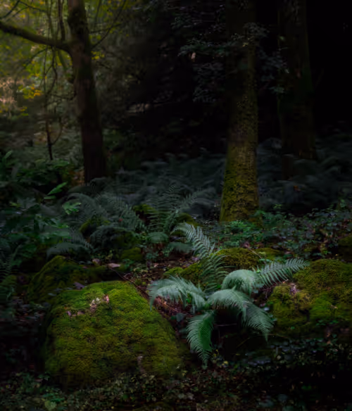 Item #84637097011632984649906980098748607923802711644097347859709205170670444478465 Media