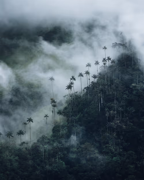 Item #14416656700475663864726672344569766568452912279528818547653479120836029841409 Media