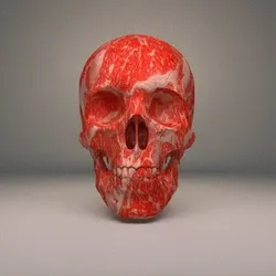 Skull #5