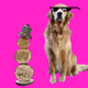 101274683294636612266705335847068558740178233417605734487621976748647516209153