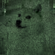 106895494902806853165678488127876842781001440553321767026481487264251692187649