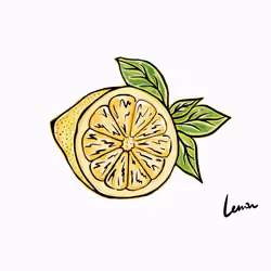 Lemon Sketch #01