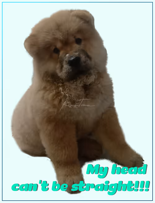 Item #103606411814514267144441239329390381368364317226309774540220525442670794899457 Media