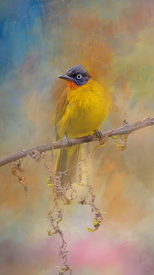 Item #20879904977050231781978559907445915739532146362246903749837269867728891543553 Media