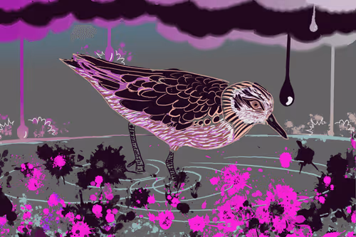 Item #102177492445544886382659035713044492308620582969953474568184538427518661689365 Media