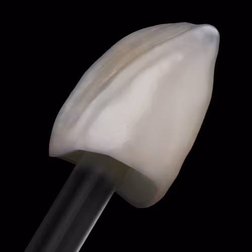 Item #62232289940205459480907166310422704462499916562185049757007232058814481039361 Media