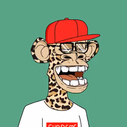 Culture Ape