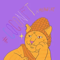 meaw cat x coconft