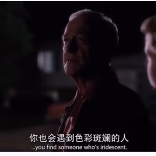 Untitled Collection #10777362