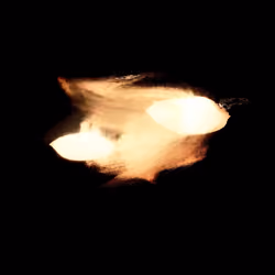 Ross Bleckner Crypto Flare #38