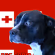 648008096045867044483137489329882592233555462946033952975388124585345941505