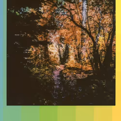 103925043226850068411214111980778021596201122013188060205337914385102714961921