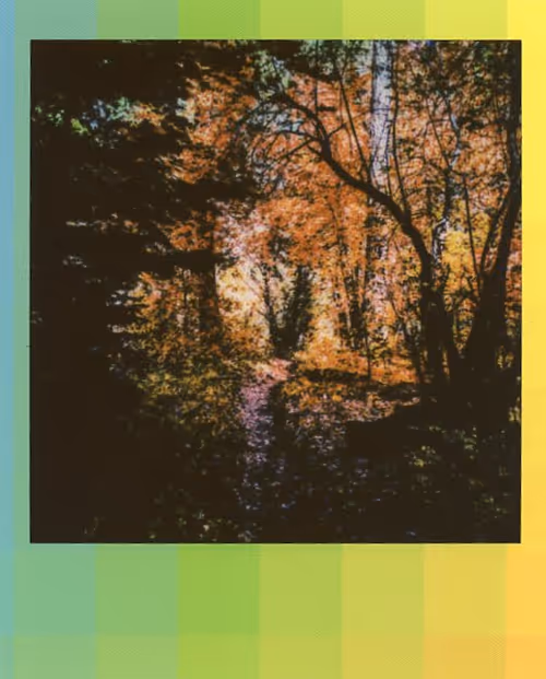 Item #103925043226850068411214111980778021596201122013188060205337914385102714961921 Media