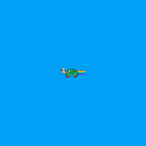 Turtle Moon