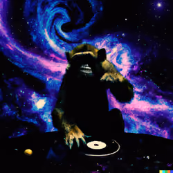 Jungle Musik-3/4