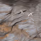 Cliff Scapes