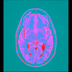 64162533542198579898252916190583583845604629893829087458582976481365785051137