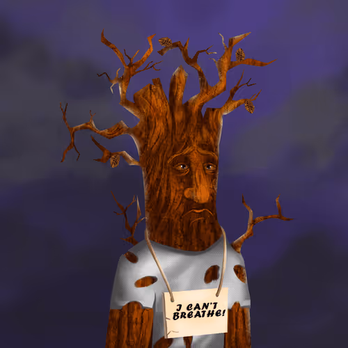 Item #38969088093190670381878411557565580659447067316565611691845277016595674169345 Media