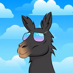 Funny Llama #003