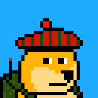 Dooggie #881