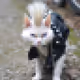 54454380677249840748926722717072301200377530719065436340930836916585849946122