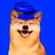35132558306005666945989237054941300939245987658462459495312623049266172002305