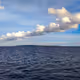 Wakatobi