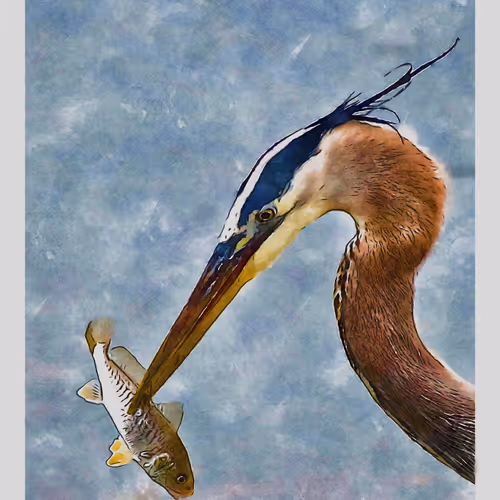 55704534837685659622621715309832868758345944585427688586690141393773622460417