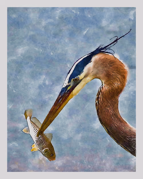 Item #55704534837685659622621715309832868758345944585427688586690141393773622460417 Media