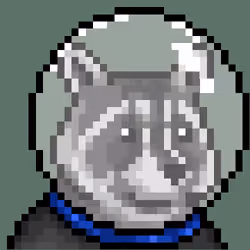 Trash Panda #15